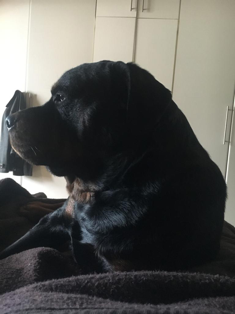 KUTTA FEEDS