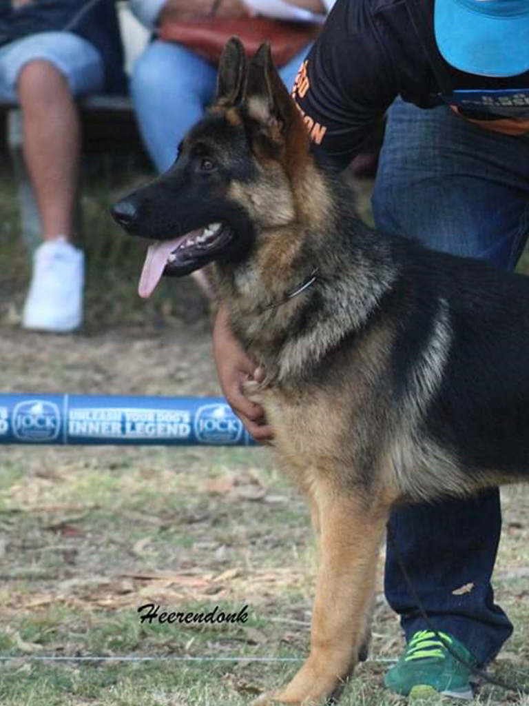 KUTTA FEEDS