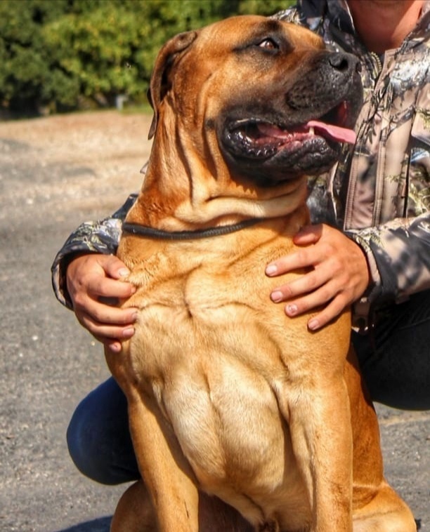 KUTTA FEEDS